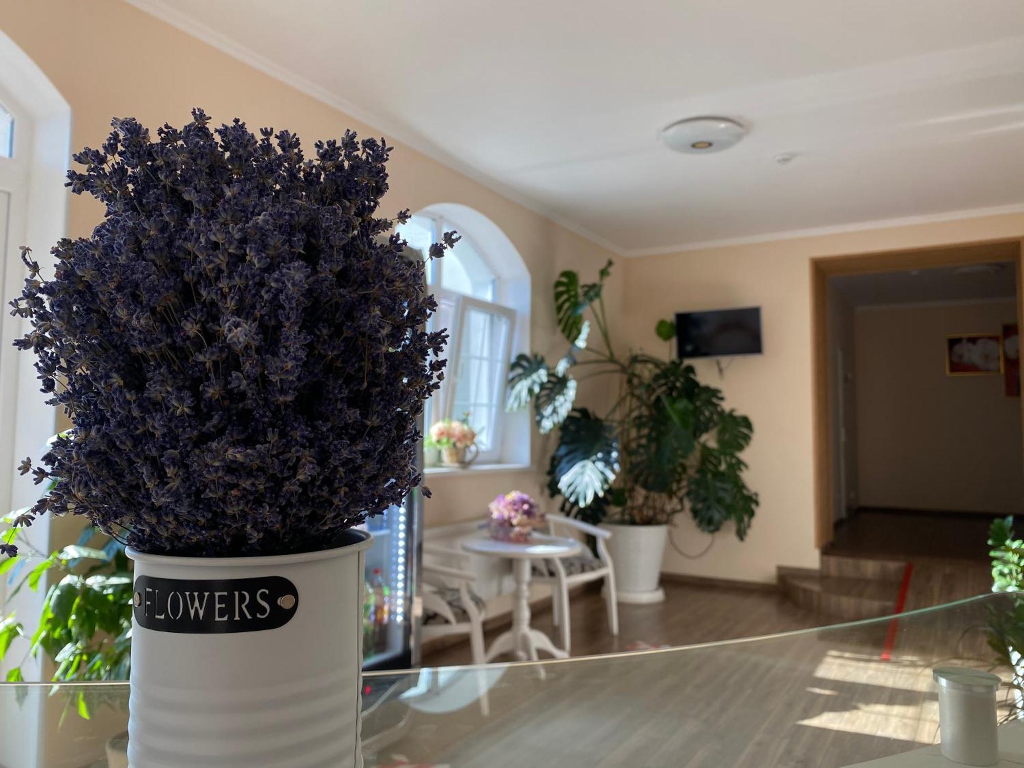Hotel Орхідея Romny Zewnętrze zdjęcie